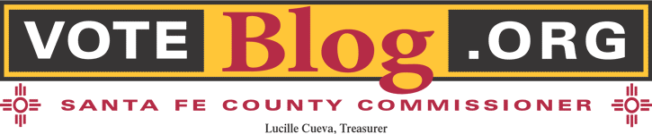 Voteblog.org Logo